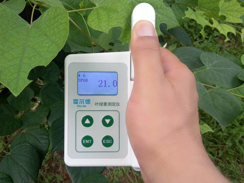 葉綠素含量測定儀具備哪些功能特點?