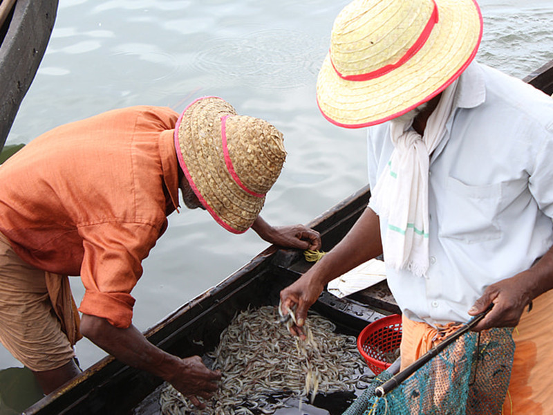 水產養殖檢測水質的重要性
