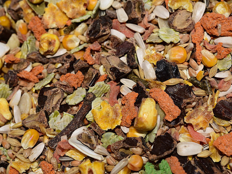 真菌毒素對(duì)人和動(dòng)物有哪些危害 真菌毒素對(duì)人和動(dòng)物有哪些危害