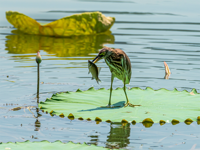 水質(zhì)檢測儀器