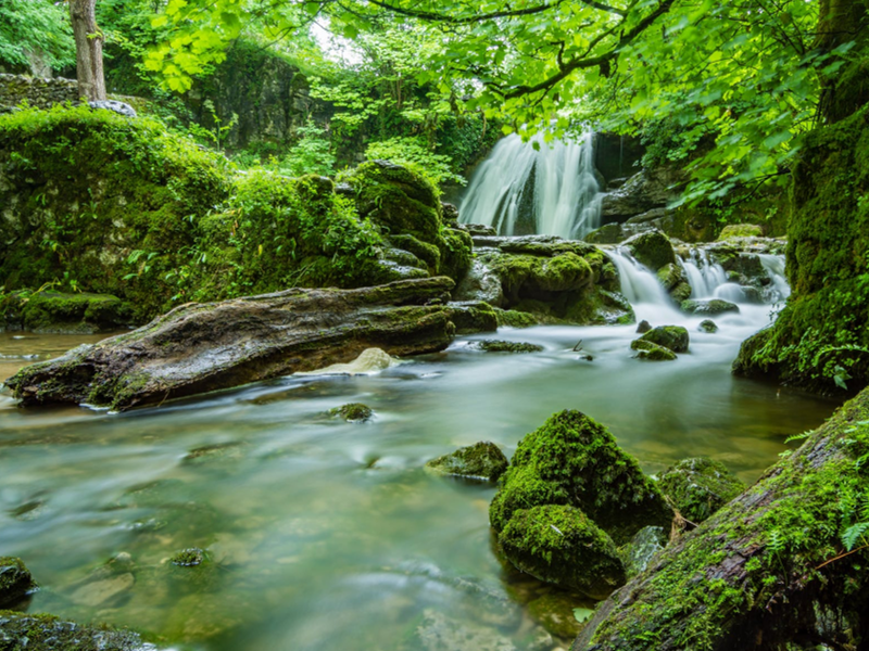 氨氮檢測儀 氨氮檢測儀