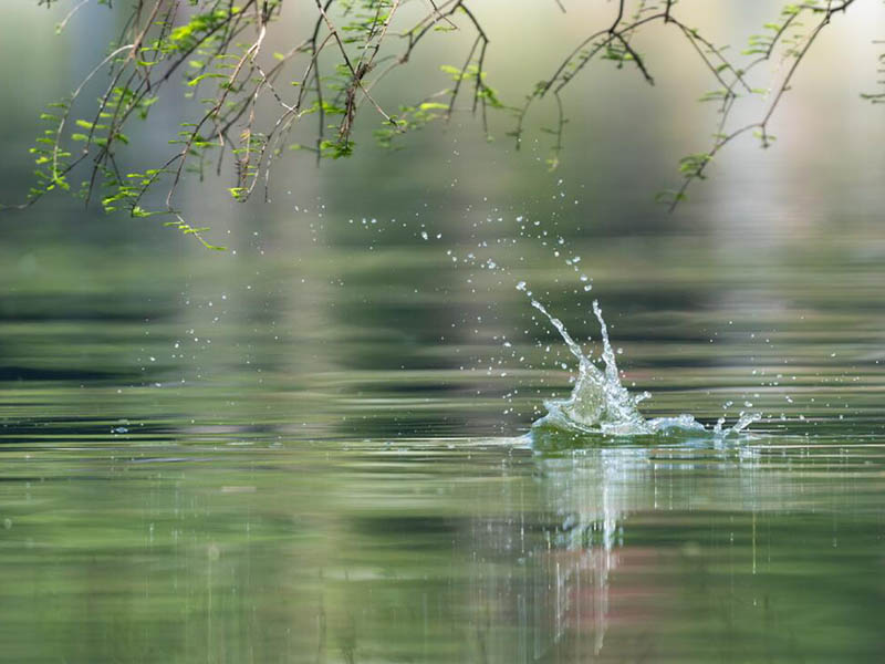 全國地表水水質優良斷面比例為84.9% 全國地表水水質優良斷面比例為84.9%