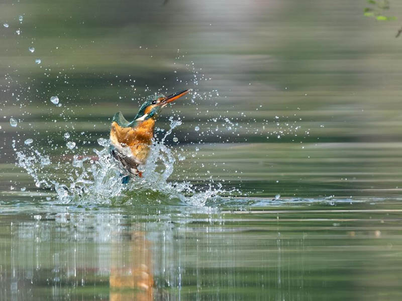 地表水環境質量穩步改善 地表水環境質量穩步改善