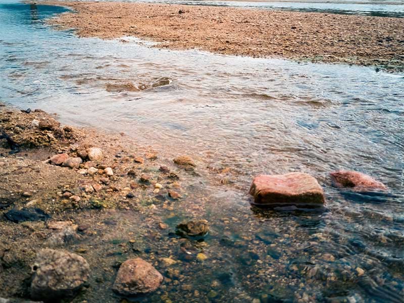 畜牧公司繞過水質監測設備排放污水被罰 畜牧公司繞過水質監測設備排放污水被罰