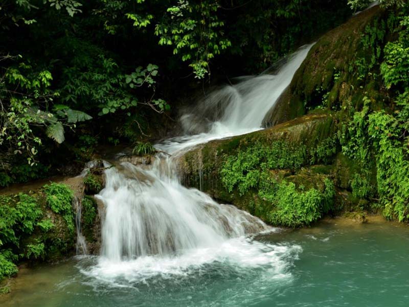 【統(tǒng)計】2020年全國用了多少水？共有多少個水廠？