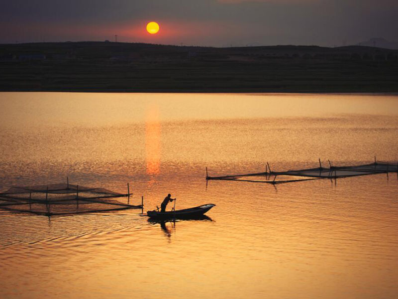 水產養殖水質分析儀可以檢測哪些項目 水產養殖水質分析儀可以檢測哪些項目