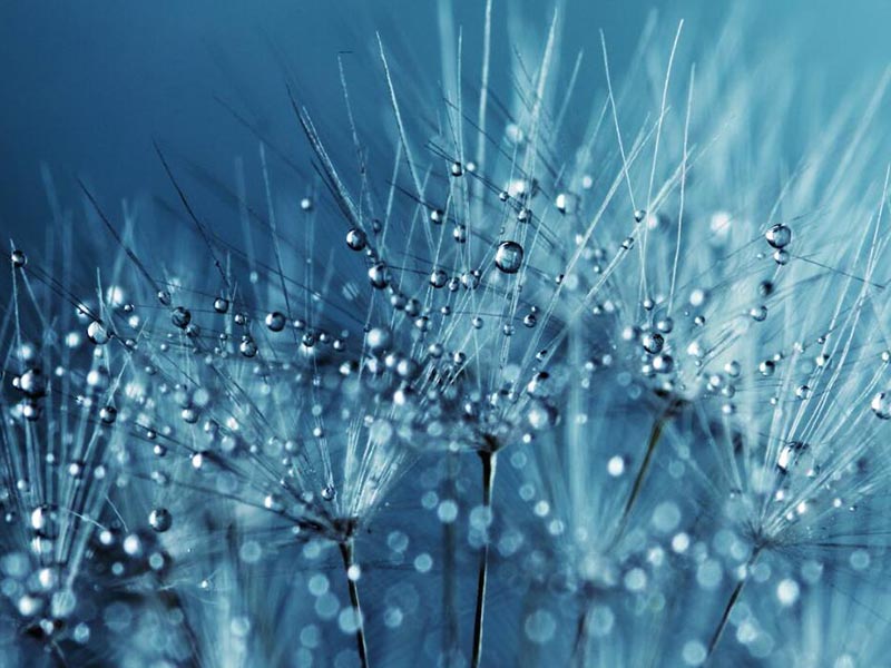 浮漂式水質監測站可以監測哪些指標