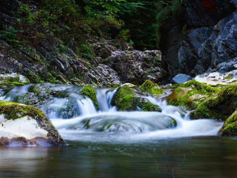 COD總磷總氮測定儀檢測下限是多少