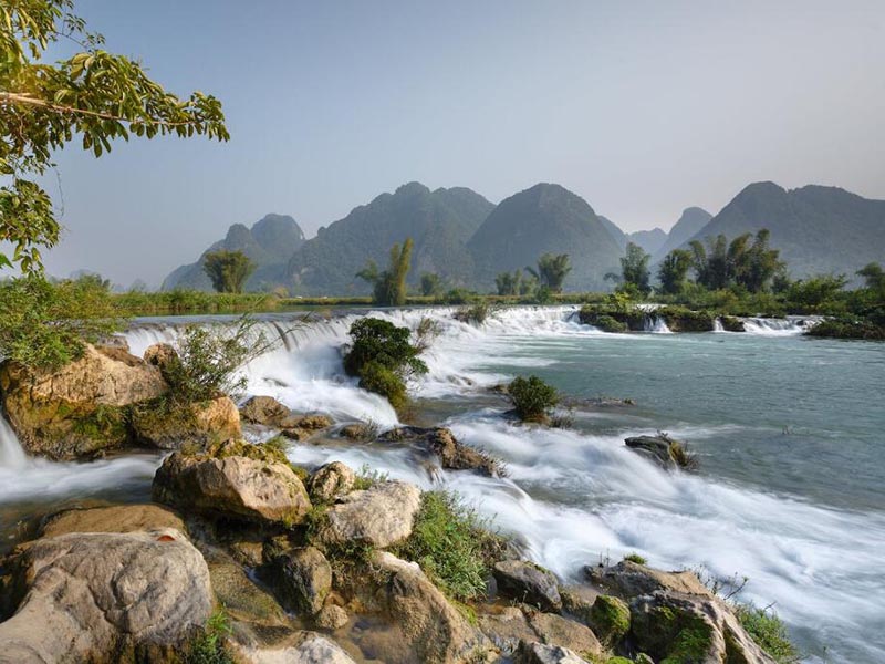 水質生物毒性在線監測儀原理