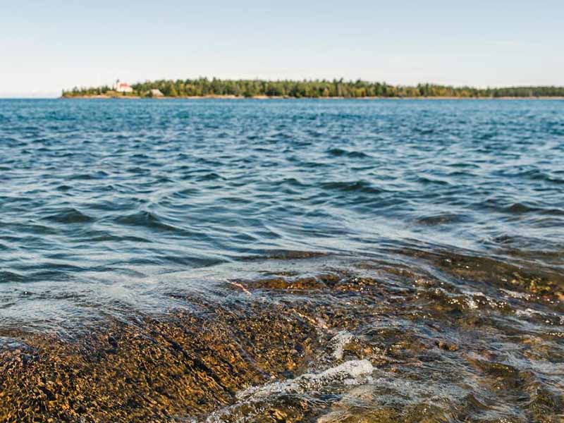 BOD超標(biāo)對(duì)水質(zhì)有什么影響