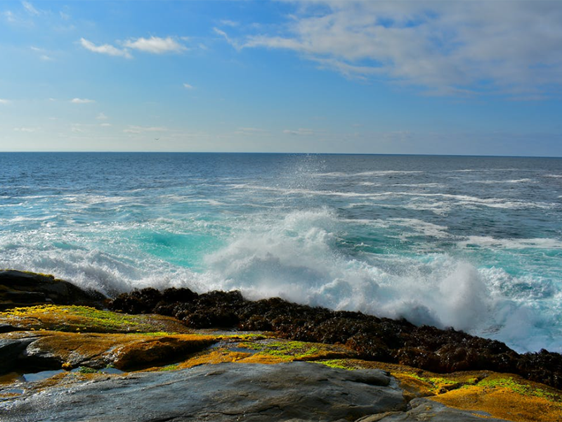 pH計的校準步驟及常見問題