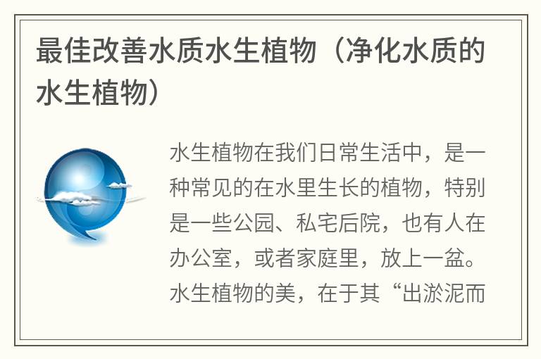 最佳改善水質水生植物（凈化水質的水生植物）