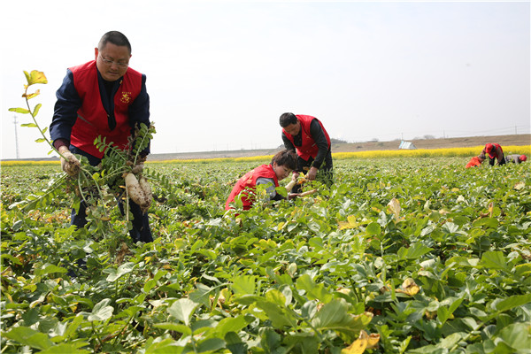 土壤養分速測儀助力農貿開展科學施肥 土壤養分速測儀助力農貿開展科學施肥
