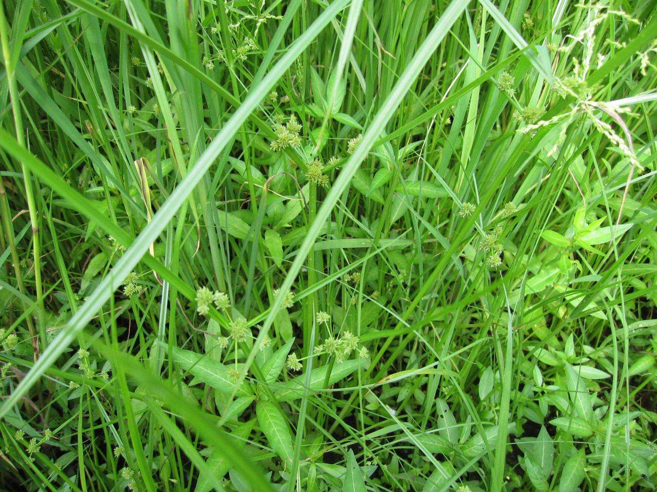 壤水分和養分含量 壤水分和養分含量