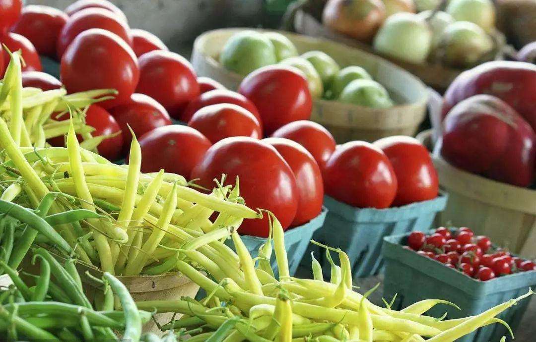 土壤氮磷鉀測定儀 土壤氮磷鉀測定儀