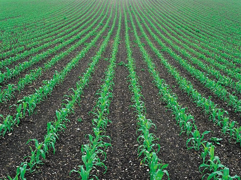 土壤墑情監測儀,為實現節水增糧奠定基礎 土壤墑情監測儀,為實現節水增糧奠定基礎